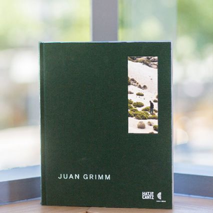 Juan Grimm, 2017