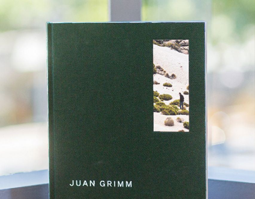 Juan Grimm, 2017