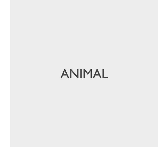 logo galeria animal
